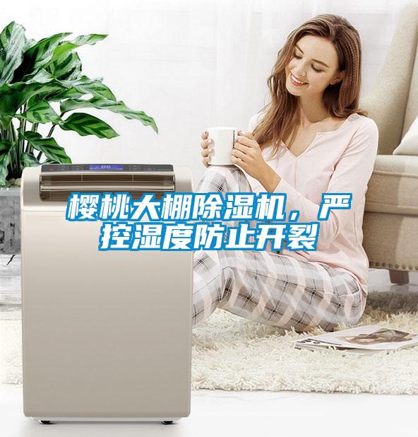 櫻桃大棚除濕機，嚴控濕度防止開裂