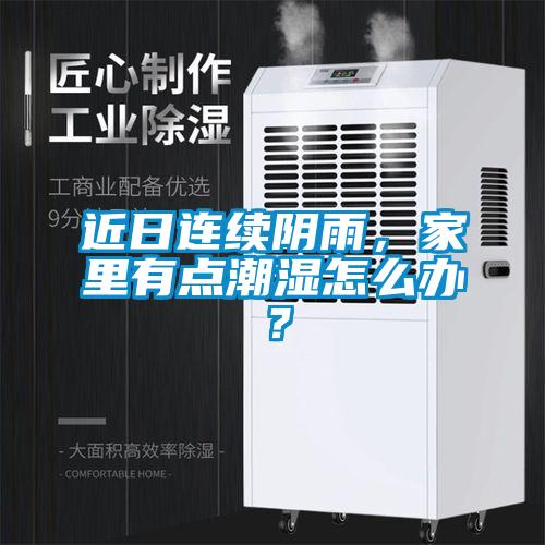 近日連續(xù)陰雨，家里有點潮濕怎么辦？