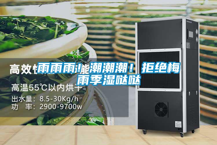 雨雨雨！潮潮潮！拒絕梅雨季濕噠噠