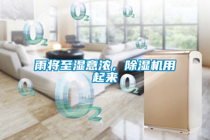 雨將至濕意濃，除濕機用起來
