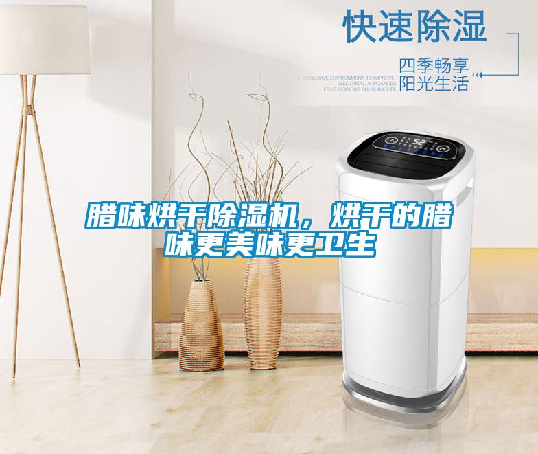 臘味烘干除濕機(jī)，烘干的臘味更美味更衛(wèi)生