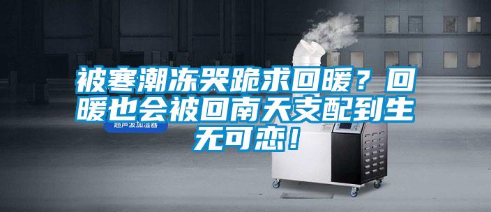 被寒潮凍哭跪求回暖？回暖也會被回南天支配到生無可戀！