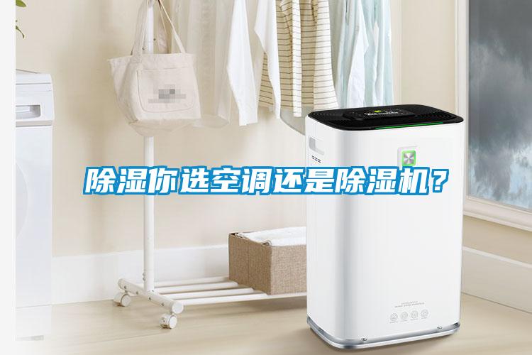 除濕你選空調還是除濕機？