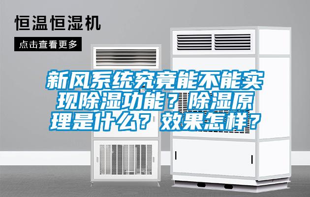 新風(fēng)系統(tǒng)究竟能不能實(shí)現(xiàn)除濕功能？除濕原理是什么？效果怎樣？