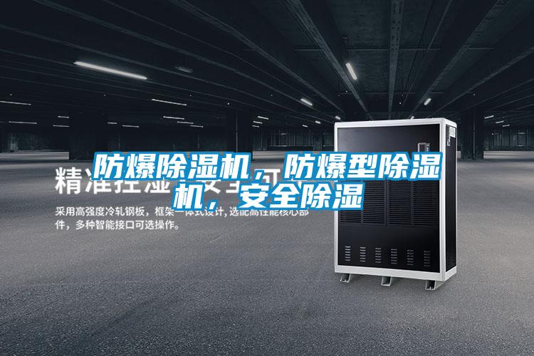 防爆除濕機(jī)，防爆型除濕機(jī)，安全除濕