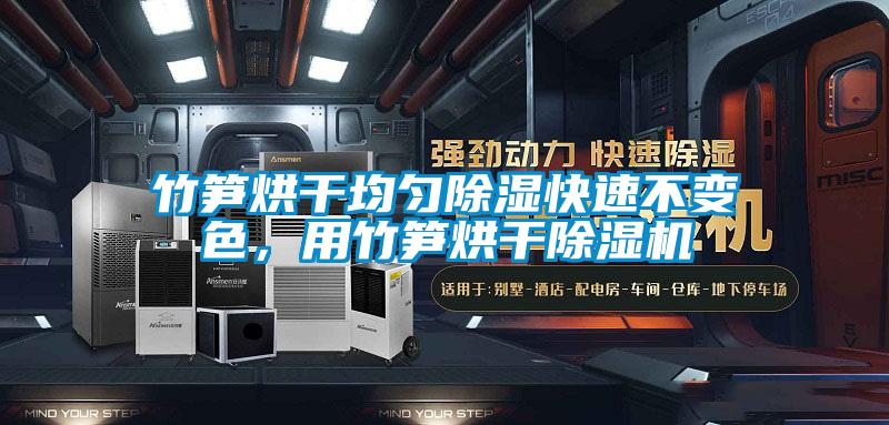 竹筍烘干均勻除濕快速不變色，用竹筍烘干除濕機(jī)