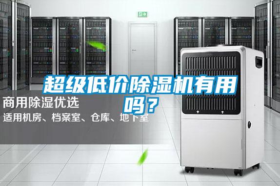 超級低價(jià)除濕機(jī)有用嗎？