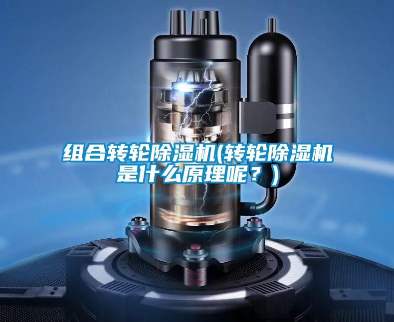 組合轉(zhuǎn)輪除濕機(轉(zhuǎn)輪除濕機是什么原理呢？)