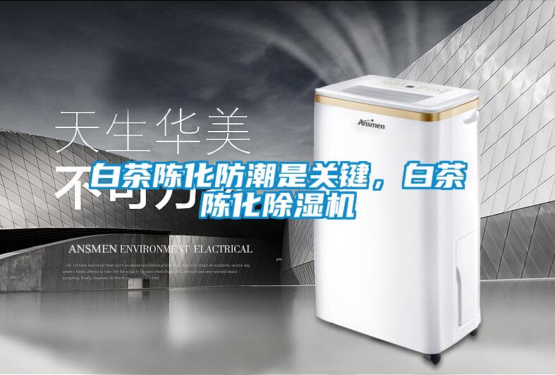 白茶陳化防潮是關鍵，白茶陳化除濕機