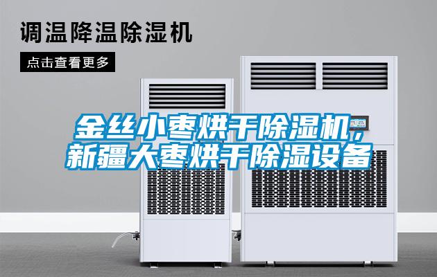 金絲小棗烘干除濕機，新疆大棗烘干除濕設備