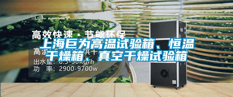 上海巨為高溫試驗(yàn)箱、恒溫干燥箱、真空干燥試驗(yàn)箱