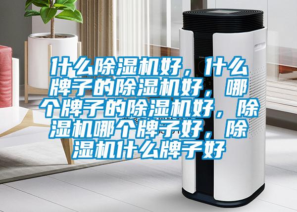 什么除濕機(jī)好，什么牌子的除濕機(jī)好，哪個(gè)牌子的除濕機(jī)好，除濕機(jī)哪個(gè)牌子好，除濕機(jī)什么牌子好