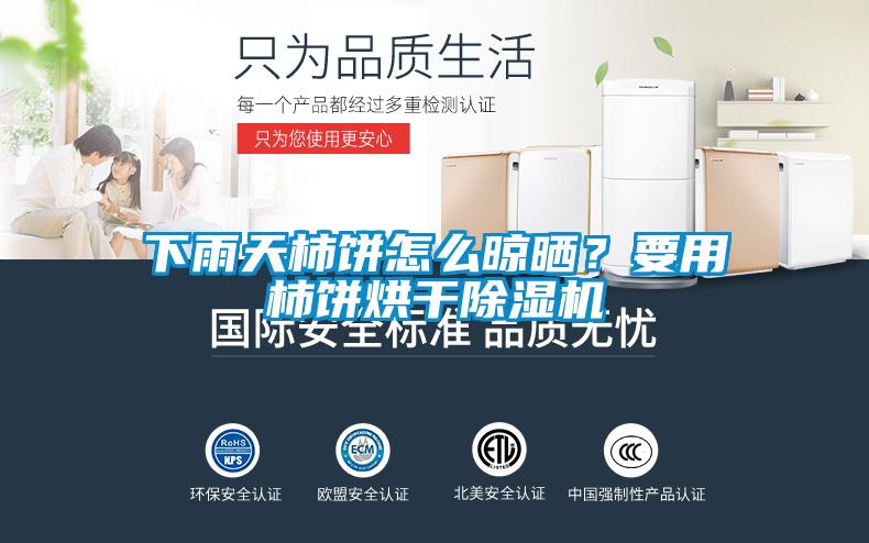 下雨天柿餅怎么晾曬？要用柿餅烘干除濕機(jī)