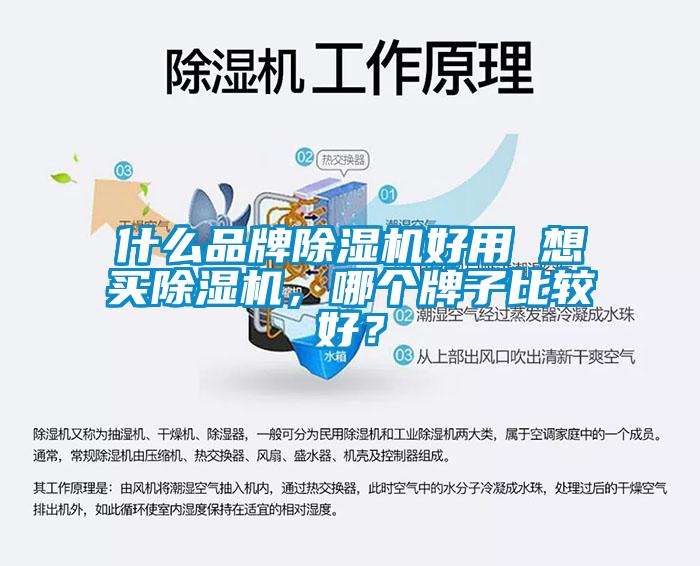 什么品牌除濕機(jī)好用 想買除濕機(jī)，哪個牌子比較好？