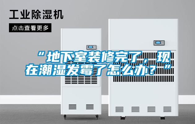 “地下室裝修完了，現(xiàn)在潮濕發(fā)霉了怎么辦？”
