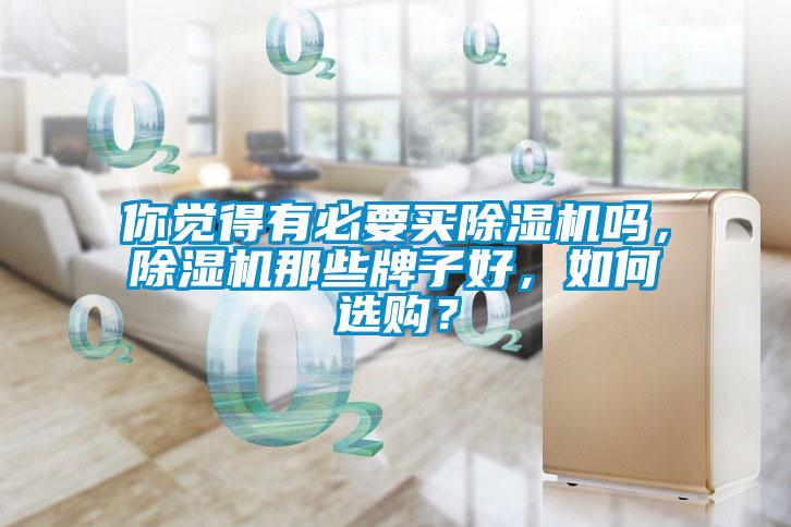 你覺得有必要買除濕機嗎，除濕機那些牌子好，如何選購？