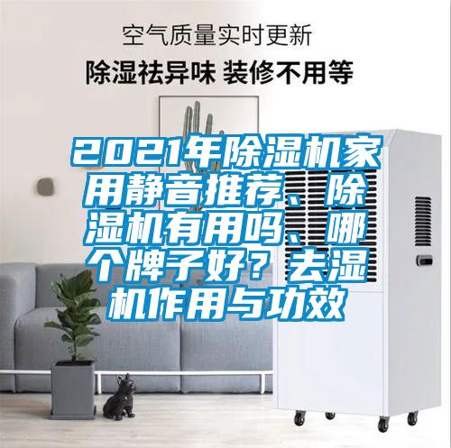 2021年除濕機(jī)家用靜音推薦、除濕機(jī)有用嗎、哪個(gè)牌子好？去濕機(jī)作用與功效