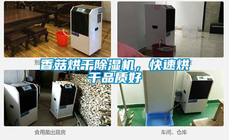 香菇烘干除濕機(jī)，快速烘干品質(zhì)好