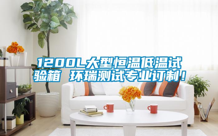 1200L大型恒溫低溫試驗(yàn)箱 環(huán)瑞測(cè)試專業(yè)訂制！