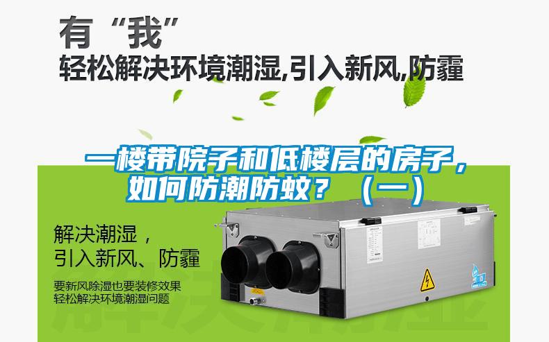 一樓帶院子和低樓層的房子，如何防潮防蚊？（一）