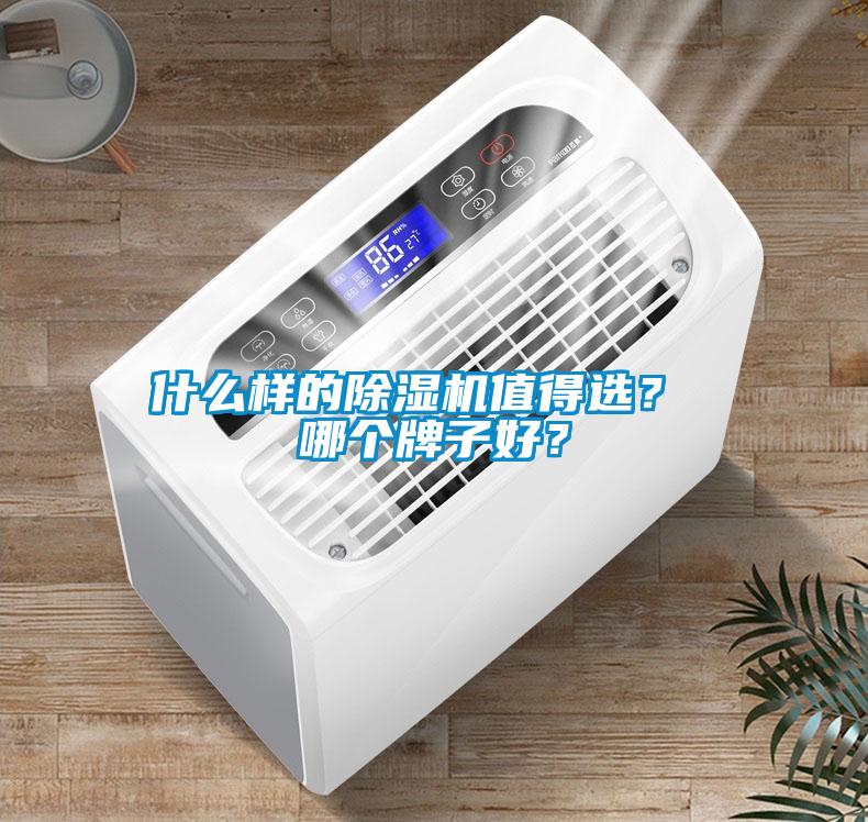 什么樣的除濕機(jī)值得選？ 哪個(gè)牌子好？