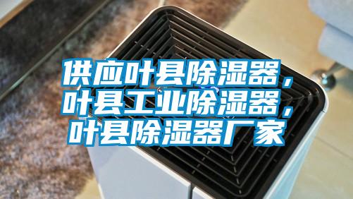 供應(yīng)葉縣除濕器，葉縣工業(yè)除濕器，葉縣除濕器廠家
