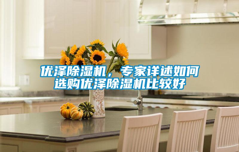 優(yōu)澤除濕機，專家詳述如何選購優(yōu)澤除濕機比較好