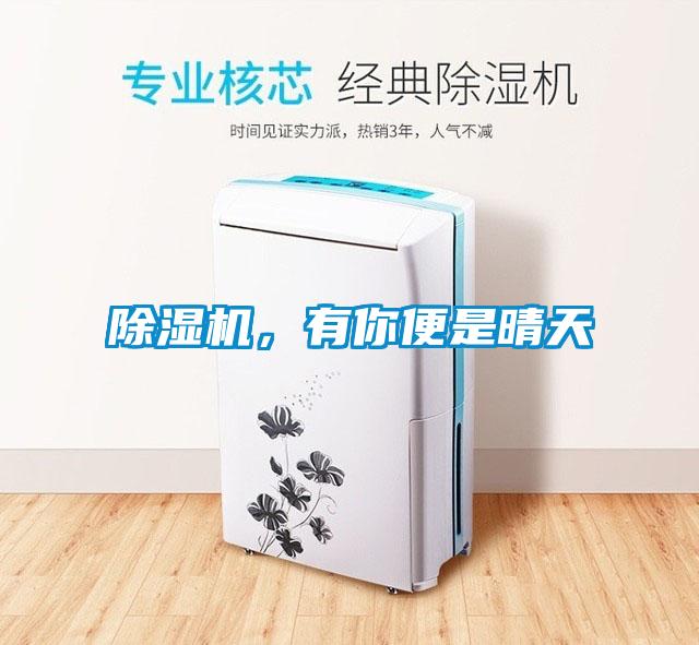 除濕機(jī)，有你便是晴天