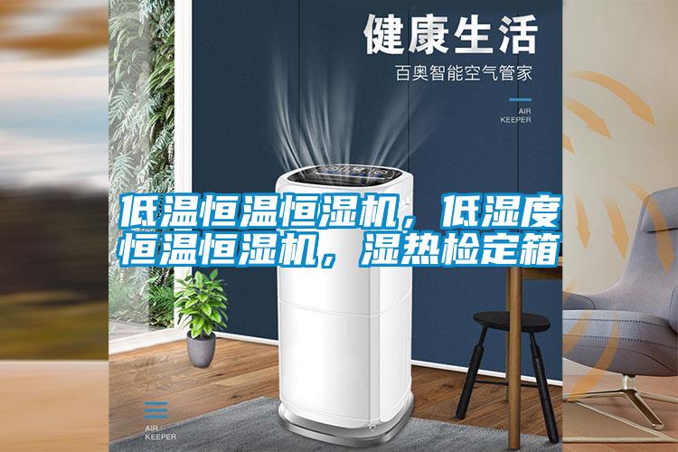 低溫恒溫恒濕機(jī)，低濕度恒溫恒濕機(jī)，濕熱檢定箱