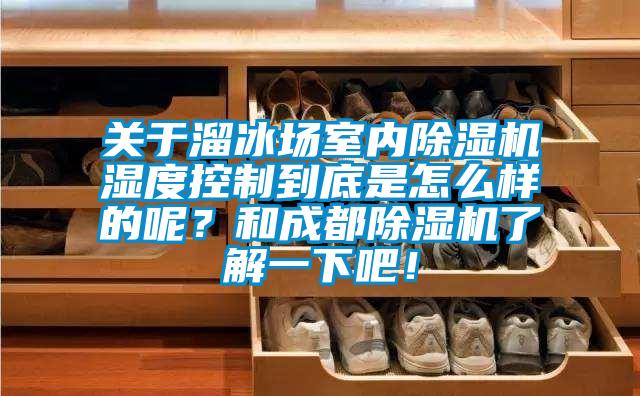關(guān)于溜冰場(chǎng)室內(nèi)除濕機(jī)濕度控制到底是怎么樣的呢？和成都除濕機(jī)了解一下吧！