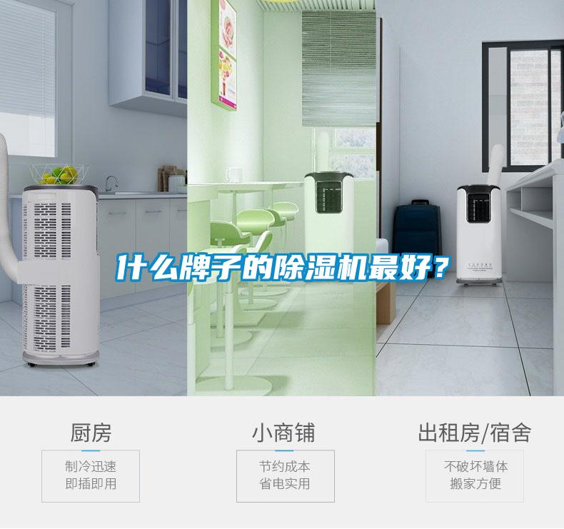 什么牌子的除濕機最好？