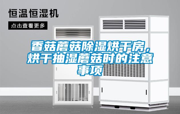 香菇蘑菇除濕烘干房，烘干抽濕蘑菇時的注意事項(xiàng)