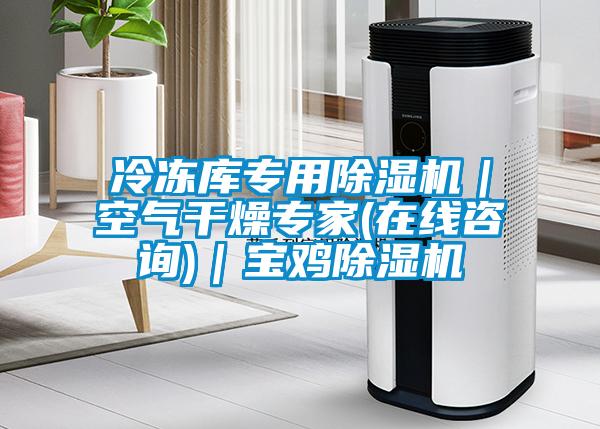 冷凍庫(kù)專(zhuān)用除濕機(jī)｜空氣干燥專(zhuān)家(在線咨詢)｜寶雞除濕機(jī)