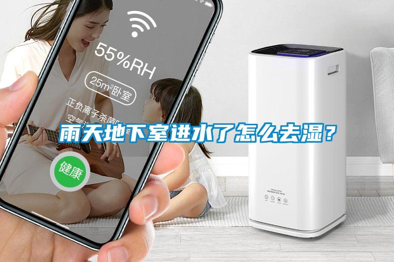 雨天地下室進(jìn)水了怎么去濕？