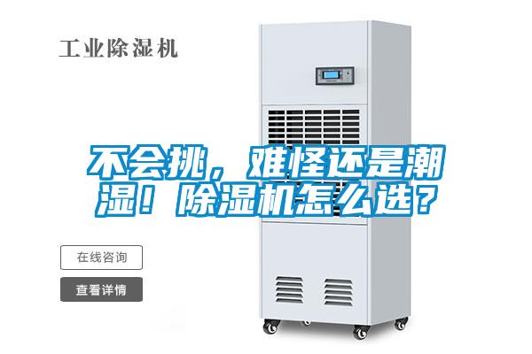 不會(huì)挑，難怪還是潮濕！除濕機(jī)怎么選？