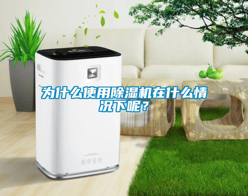 為什么使用除濕機(jī)在什么情況下呢？