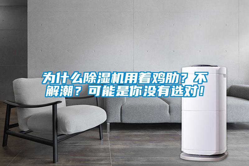 為什么除濕機用著雞肋？不解潮？可能是你沒有選對！