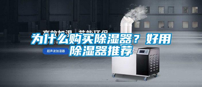 為什么購買除濕器？好用除濕器推薦