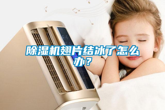 除濕機翅片結冰了怎么辦？