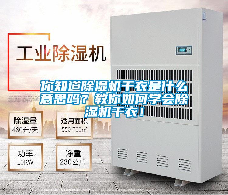 你知道除濕機干衣是什么意思嗎？教你如何學會除濕機干衣！