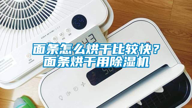 面條怎么烘干比較快？面條烘干用除濕機(jī)
