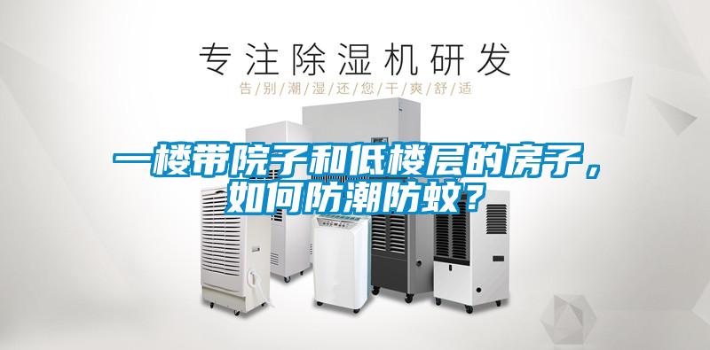 一樓帶院子和低樓層的房子，如何防潮防蚊？