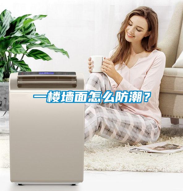 一樓墻面怎么防潮？