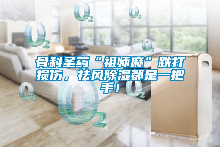 骨科圣藥“祖師麻”跌打損傷，祛風(fēng)除濕都是一把手！