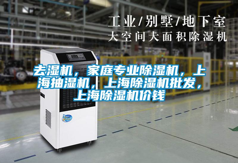 去濕機(jī)，家庭專業(yè)除濕機(jī)，上海抽濕機(jī)，上海除濕機(jī)批發(fā)，上海除濕機(jī)價(jià)錢(qián)