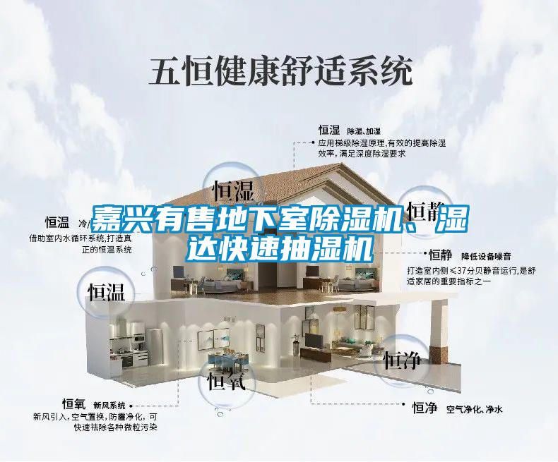 嘉興有售地下室除濕機(jī)、濕達(dá)快速抽濕機(jī)