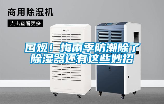 圍觀！梅雨季防潮除了除濕器還有這些妙招