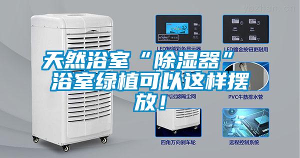 天然浴室“除濕器” 浴室綠植可以這樣擺放！