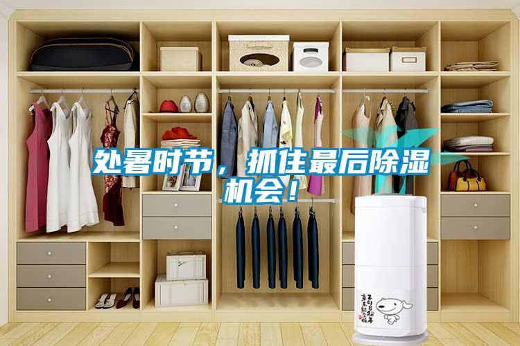 處暑時節(jié)，抓住最后除濕機(jī)會！