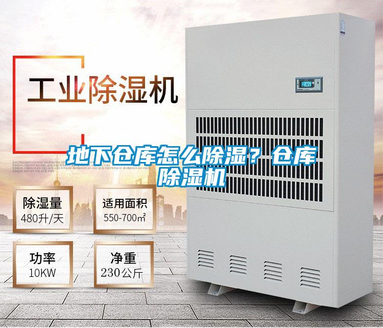 地下倉庫怎么除濕？倉庫除濕機(jī)